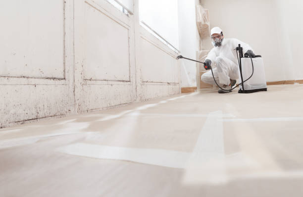 24/7 Emergency Attic Mold Removal experts in Maplewood, WA
